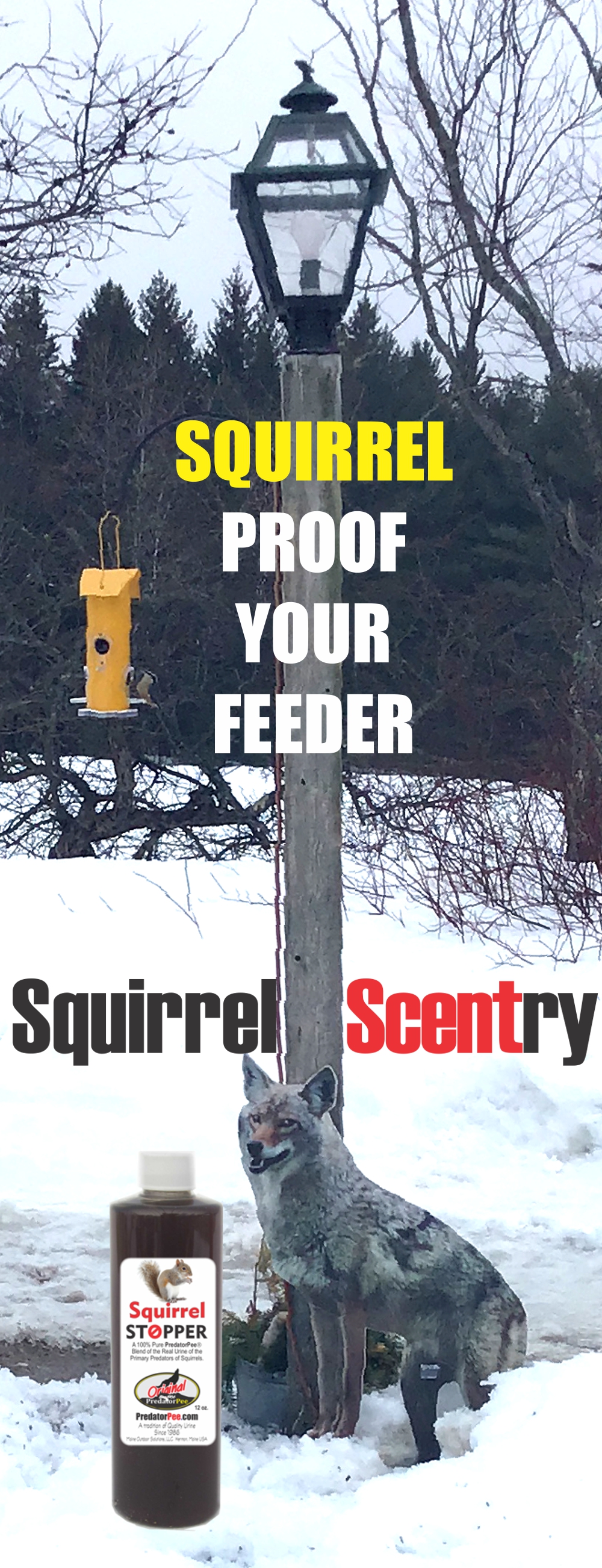 Squirrel Proof Your Bird Feeder Squirrel Repellent Products