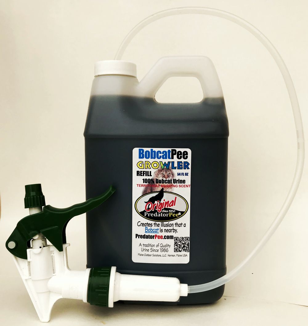 64 oz Bobcat Urine Growler Natural Mice Repellent