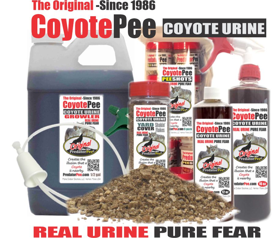 Coyote Urine, Coyote Pee for Sale