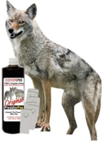 Coyote PeeCoy