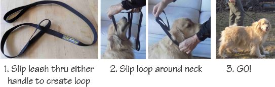 Mountain dog slip leash hotsell