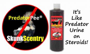 Get rid of skunks