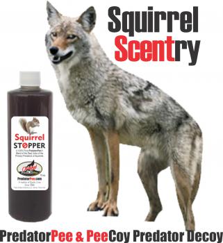 SquirrelScentry PredatorPee and PeeCoy Predator Decoy