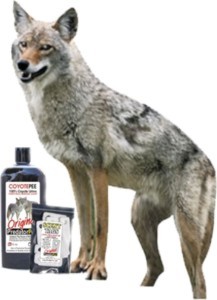 Coyote PeeCoy Combo for Geese, Turkeys & Birds