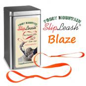 2020-FM-Slipleash-Blaze-text